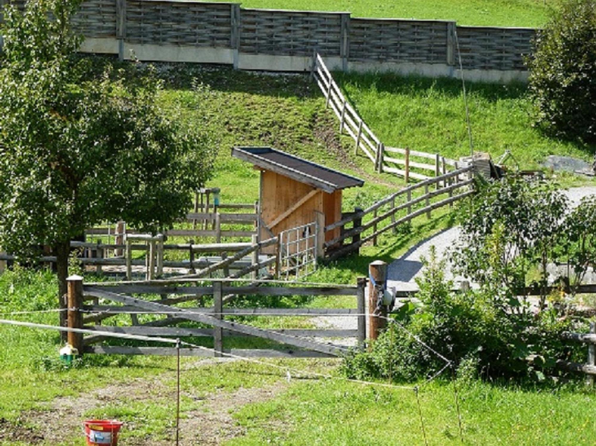 Wiesingbauer Saalfelden Exterior photo